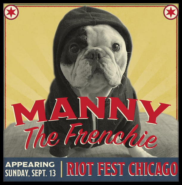 Manny the frenchie